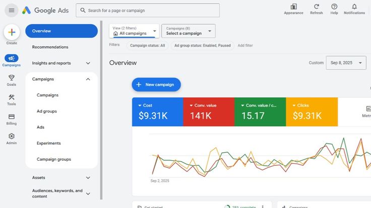 Google Ads overview with campaign controls, cost, conversion value, clicks, and performance charts